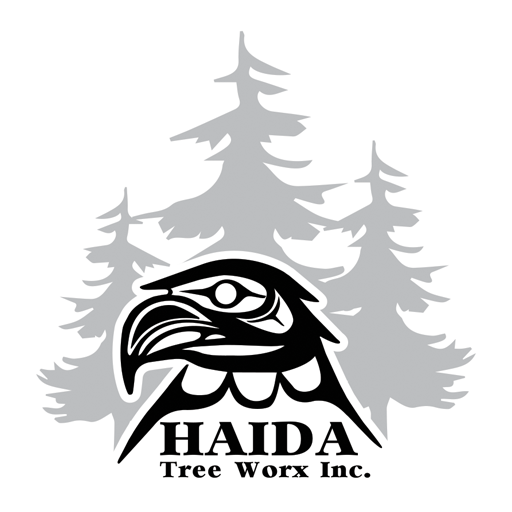 Haida Tree Worx Inc. Forestry Climbers Timber Falling Haida Gwaii